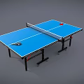 Portable Ping Pong Table Sports Equipment With Net Paddle And Ball