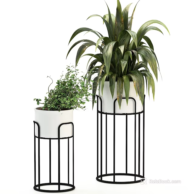 Potted Plants with White Pots on Black Metal Stands Small and Large Green Leafy 3d model 