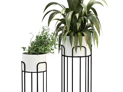 Potted Plants with White Pots on Black Metal Stands Small and Large Green Leafy 3d model