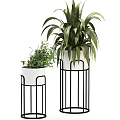 Potted Plants with White Pots on Black Metal Stands Small and Large Green Leafy