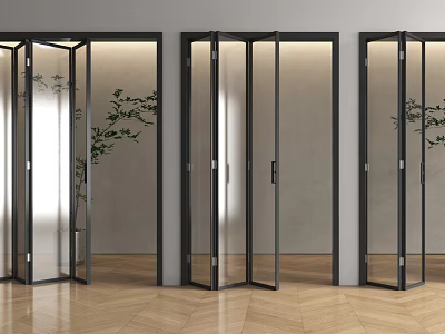 Modern Glass Folding Doors With Black Frame And Green Plants On Light Wall Wooden Floor 3d model
