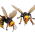 Detailed Realistic Wasps as Flying Animals with Yellow Black Stripes and Transparent Wings