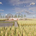 Rural Countryside Landscape With Golden Rice Fields Traditional Windmill Trees And Blue Sky Clouds