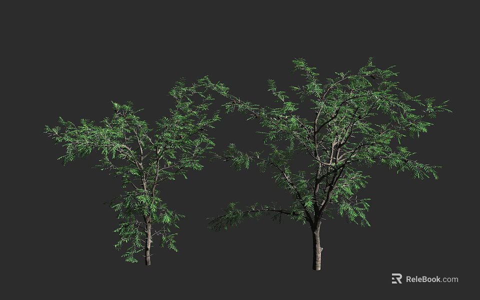 Lush Green Trees With Dense Foliage Brown Trunks And Detailed Branches 3d model 