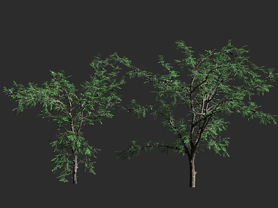 Lush Green Trees With Dense Foliage Brown Trunks And Detailed Branches 3d model