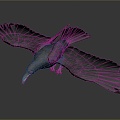 Modern Crow Birds 3d model