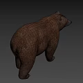Realistic Brown Bear 3D Model Standing On Gray Background With Shadow