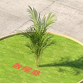 Stylish Outdoor Chair with Areca Palm in Circular Lawn Stone Slab Patio Area