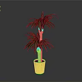 Tall Green Palm Plant With Lush Leaves In Woven Brown Basket Planter