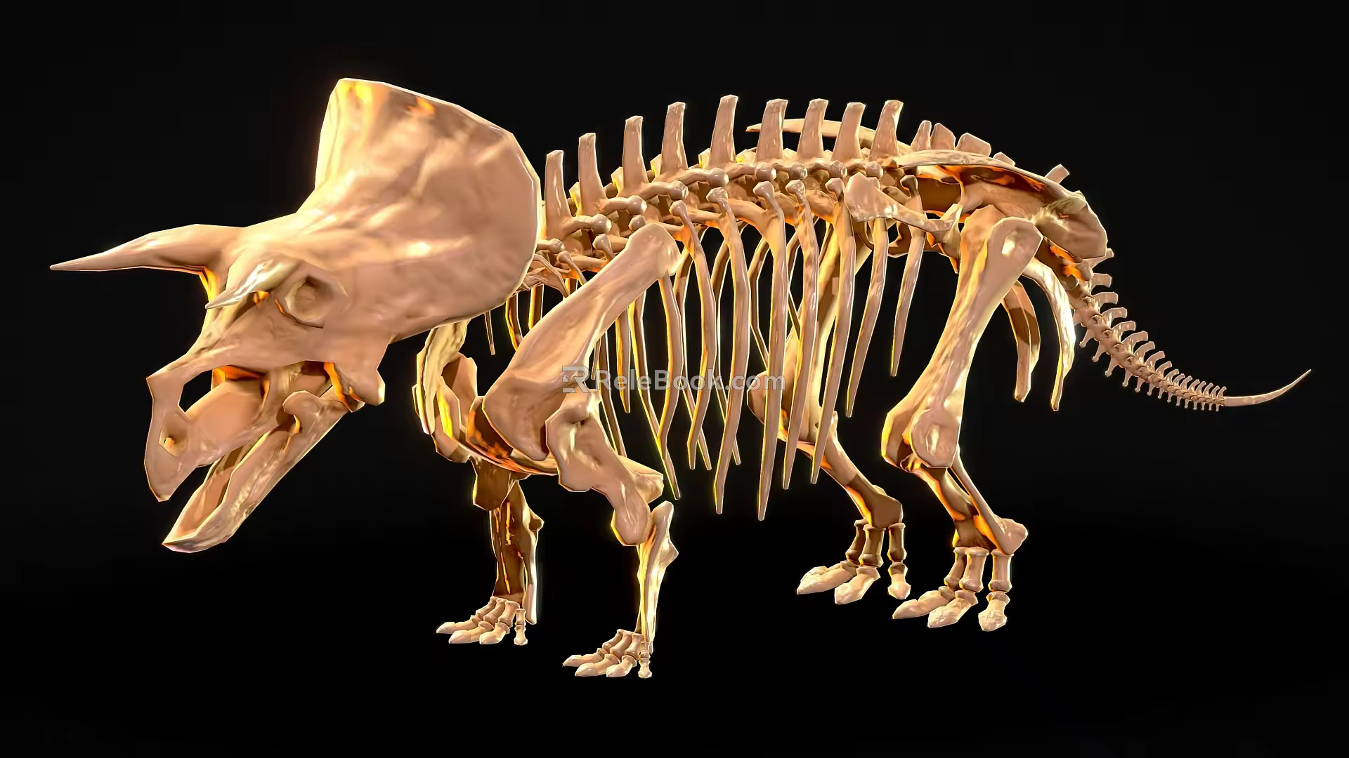 Tyrannosaurus dinosaur reptile skeleton Dinosaur fossil 3 3d model