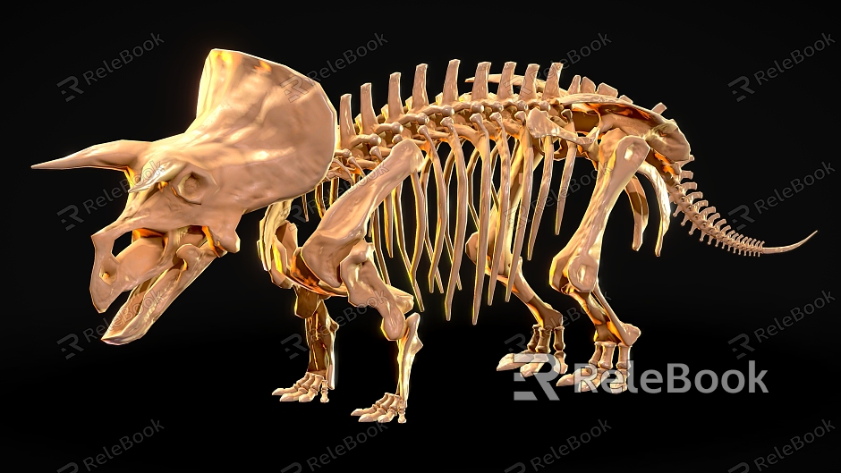 Tyrannosaurus dinosaur reptile skeleton Dinosaur fossil 3 model