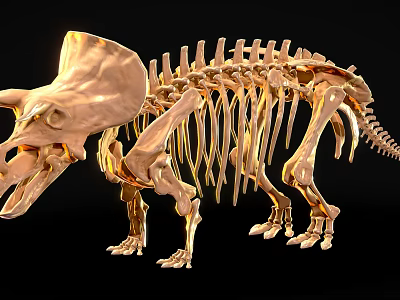 Detailed Golden Triceratops Skeleton with Intricate Bone Structure as Ancient Reptile Fossil 3d model