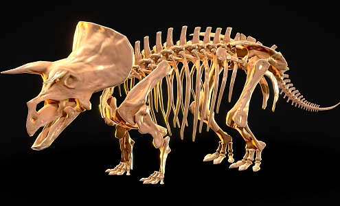 Tyrannosaurus dinosaur reptile skeleton Dinosaur fossil 3 3d model