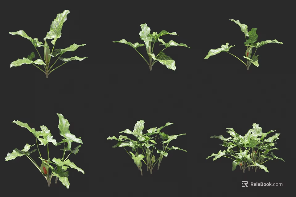 Fresh Green Plants with Various Forms and Lush Leaves for Design Projects 3d model