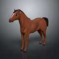 Realistic Brown Horse 3D Model Standing With Gray Background And Detailed Design