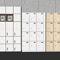 Modern Storage Cabinet Shelves with Multiple Doors in White and Wooden Finishes