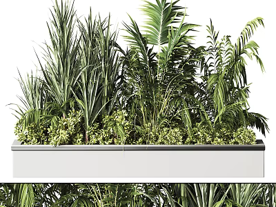 Various Tropical Green Potted Plants In White Rectangular Planter For Indoor Decoration 3d model