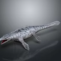 Realistic Prehistoric Marine Reptile Model With Gray Skin Open Mouth And Flippers