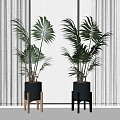 Modern potted plant flowerpot plant flowerpot green plant turtle leaf curtain 3d model