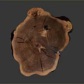 Natural Tree Stump Stool With Visible Growth Rings and Metal Hairpin Legs for Modern Interior