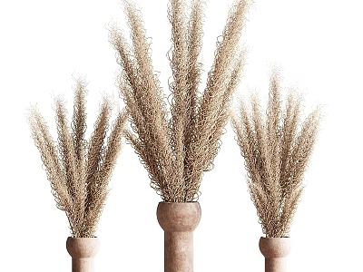 Modern Jewelry Ornaments Combination Vase Spikelet Pampas Grassland Dry Exotic 3d model