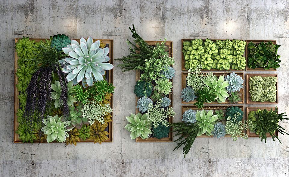 Living Plant Wall With Various Succulents And Green Plants In Wooden Square Frames 3d model 