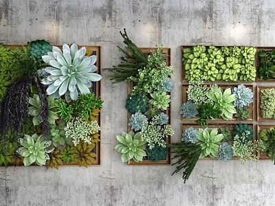 Living Plant Wall With Various Succulents And Green Plants In Wooden Square Frames 3d model