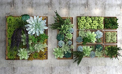 Modern Plant Wall succulents 3d model