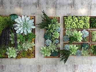 Modern Plant Wall succulents 3d model