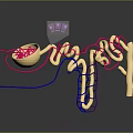 3D Illustration of Brain Neurons with Blood Vessels and Cellular Structures