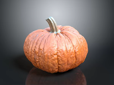 Fresh Orange Pumpkin With Textured Skin And Stem On Dark Reflective Surface For Fall 3d model