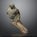 Realistic Sparrow Perched On Natural Wooden Branch Against Gray Background