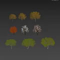 Modern Tree Purple Leaf Norwegian Acer platycodon Acer Canada Tangdi Chestnut Big Tree Garden Landscape Tree 3d model