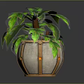 Lush Green Leaf Plant with Brown Straps and Orange Accents in Stone Pot
