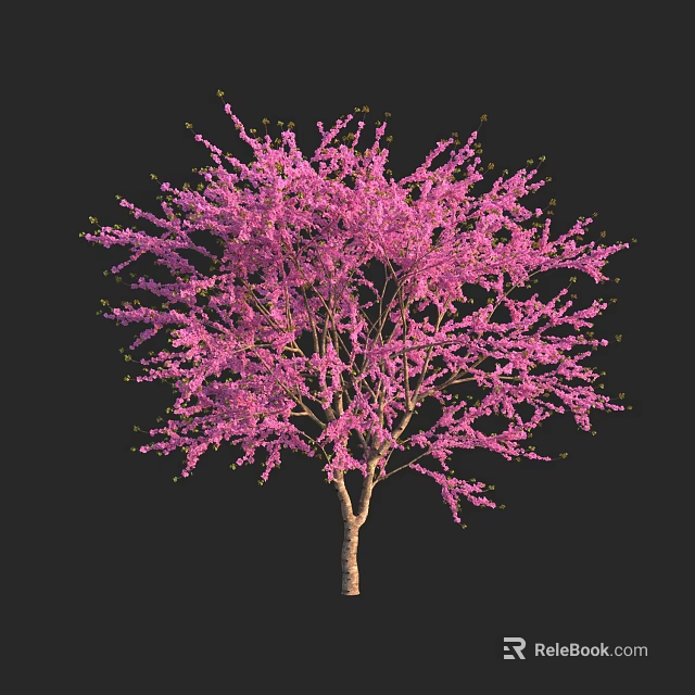 Elegant Ornamental Tree With Lush Pink Blossoms And Graceful Spreading Branches 3d model 