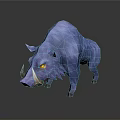 Blue Boar with Yellow Eyes and White Tusks Standing Against Black Background with Reflection