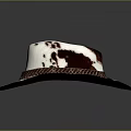 White and Brown Cowhide Cowboy Hat With Braided Leather Band And Wide Brim