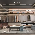 Elegant Modern Walk in Closet Interior Design With Hanging Clothes Shelves Bench And Mirror