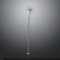Dandelion Plant With Silver Stem And White Fluffy Seed Head Against Gray Background