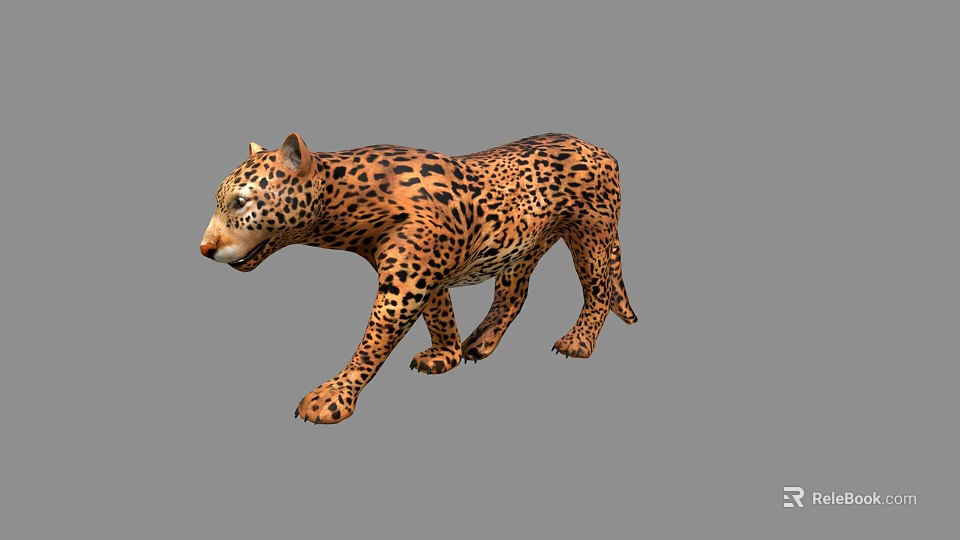 Realistic Leopard 3D Model With Detailed Fur Pattern And Walking Stance 3d model