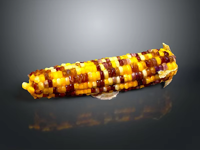 Fresh Multicolored Corn Ear with Yellow Purple and Brown Kernels on Black Background 3d model