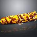 Fresh Multicolored Corn Ear with Yellow Purple and Brown Kernels on Black Background