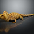 3D Rendered Frilled Neck Lizard with Brown Scales Standing on Dark Reflective Surface