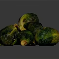 Roasted Brussels Sprouts With Green And Golden Color On Dark Background
