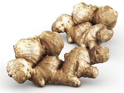 Fresh Organic Ginger Roots With Natural Knobby Texture And Earthy Brown Appearance 3d model
