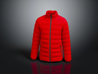 Red Quilted Puffer Jacket With Front Zipper And Long Sleeves Design 3d model