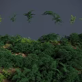 Lush Green Shrubs In Various Forms Creating Natural Landscape With Dark Background