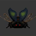 Flying Insect With Blue Green Wings Colorful Spots Red Eyes Black Body And Orange Antennae