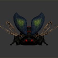 Modern Beetle Beetle Scarab Insect 3d model