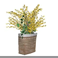 Yellow Flowers Arrangement in Textured Beige Square Vase with Green Leaves